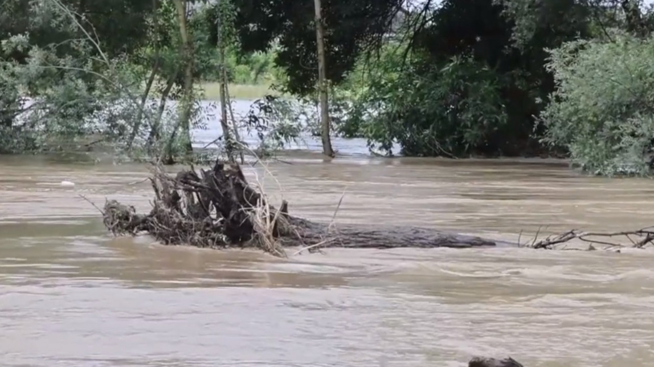 Poplave