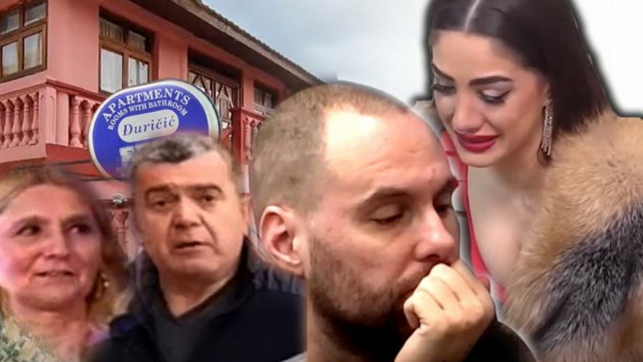 Zadruga 6