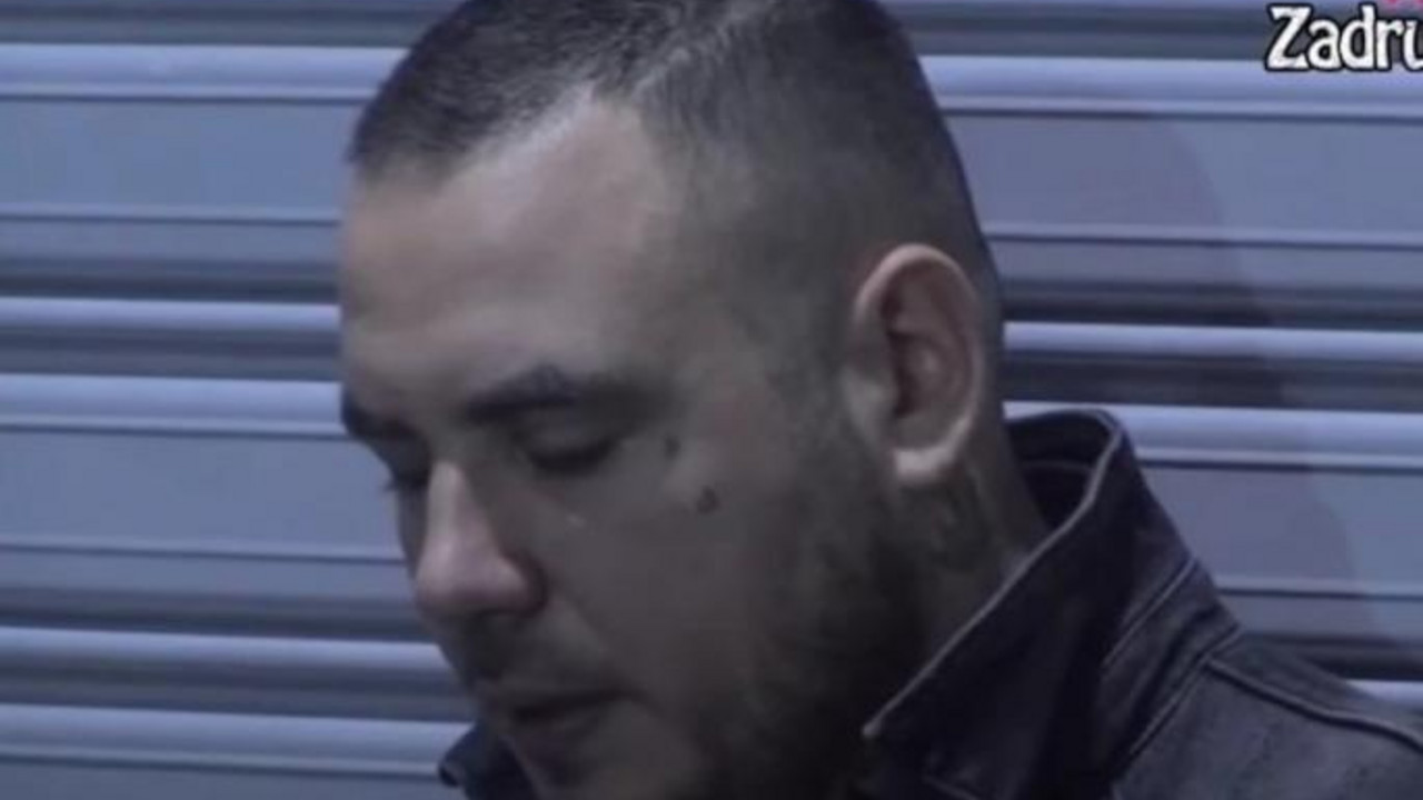 Zadruga 6