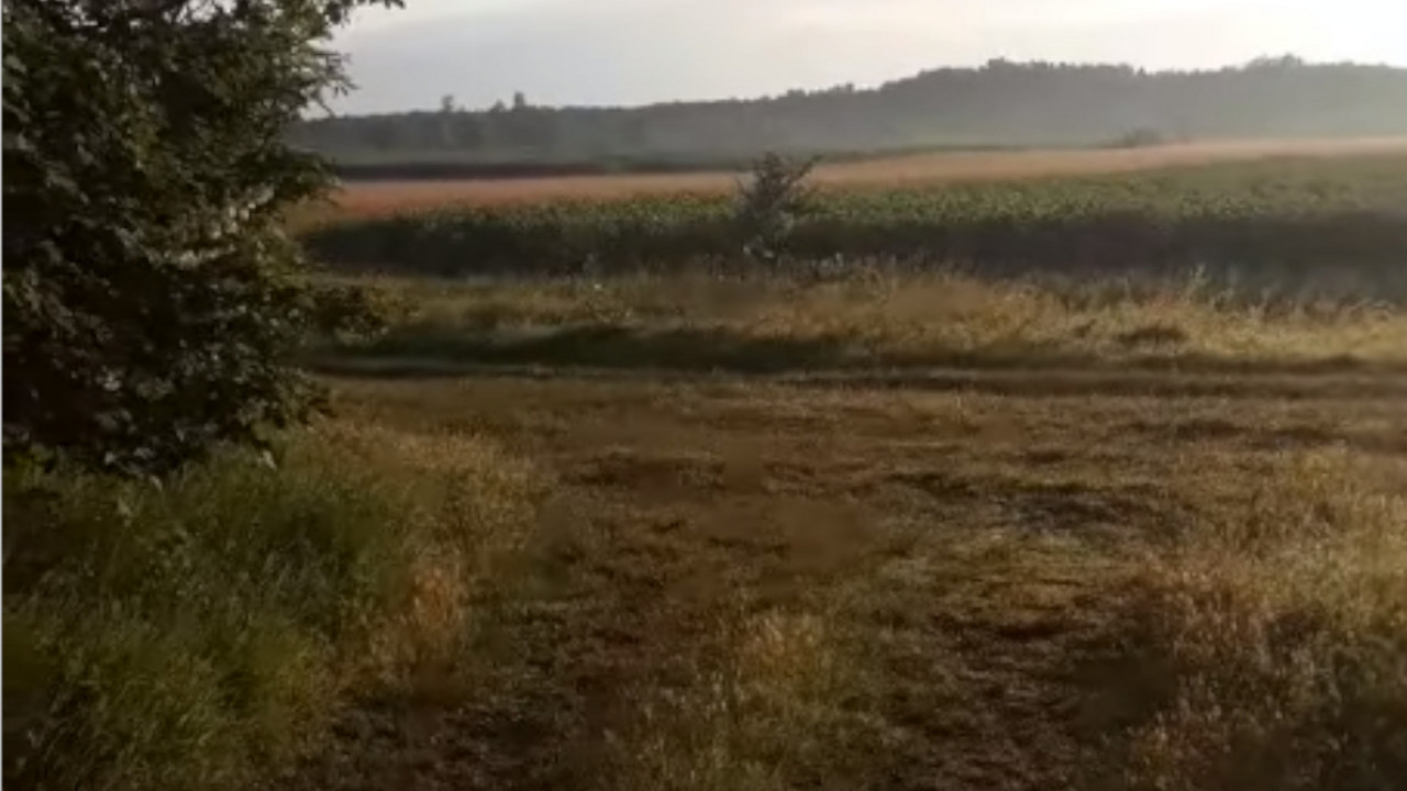 mađarska