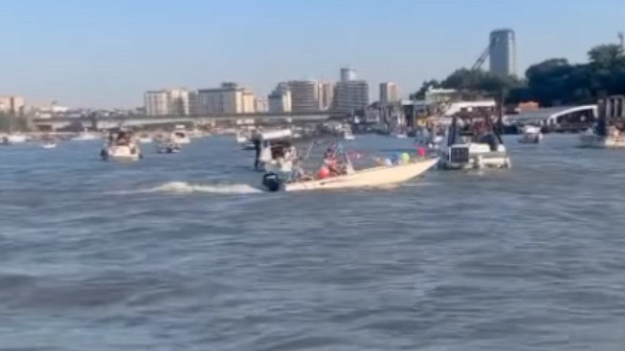festival_sava