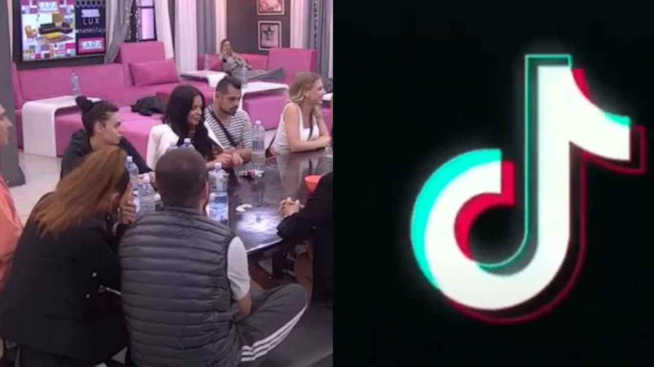 Zadruga 6