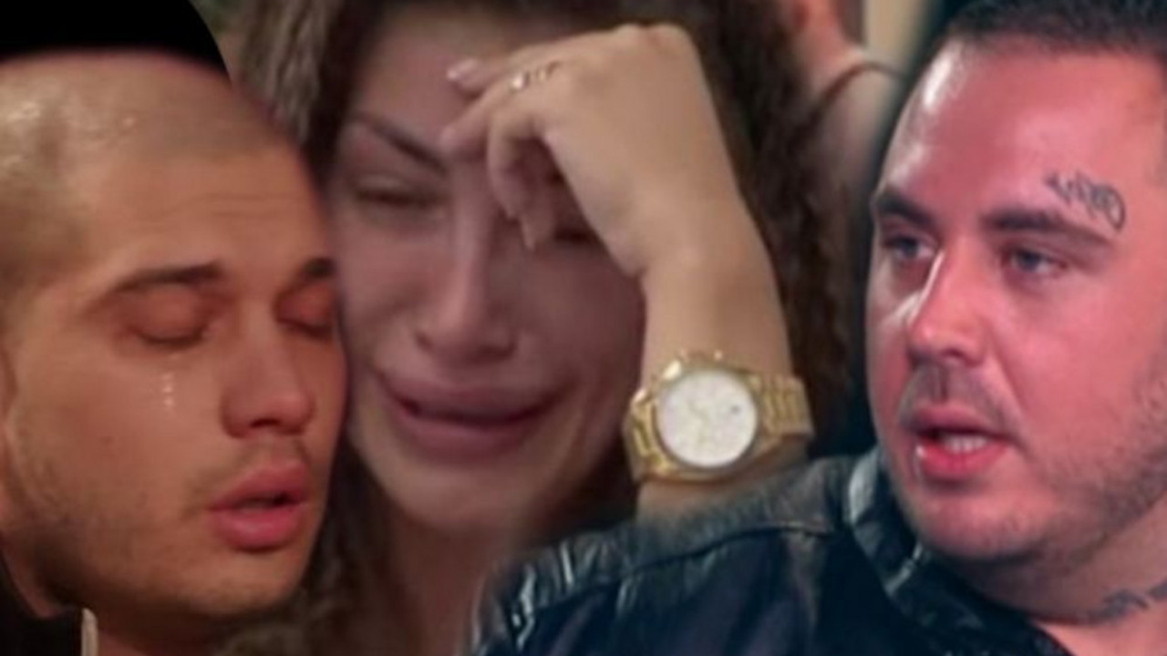 Zadruga 6