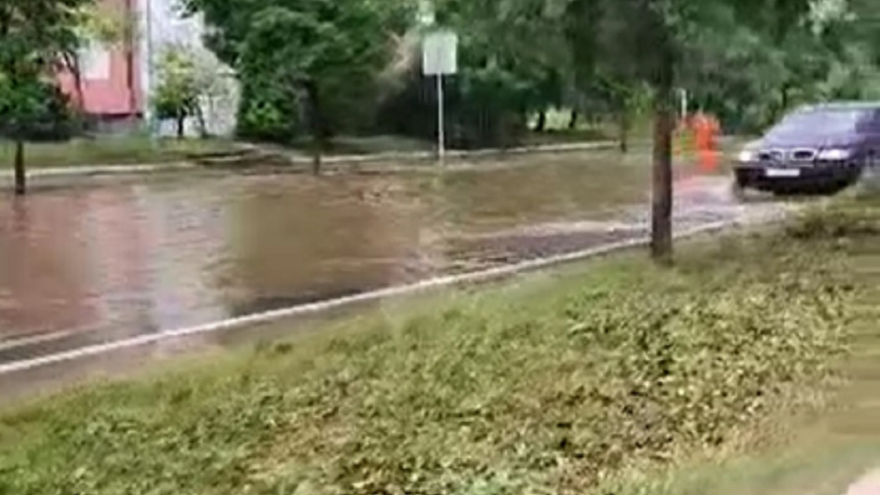 Zemunska ulica