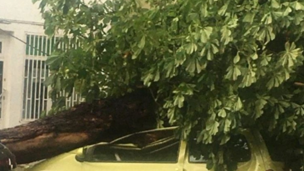 Zemun, nevreme