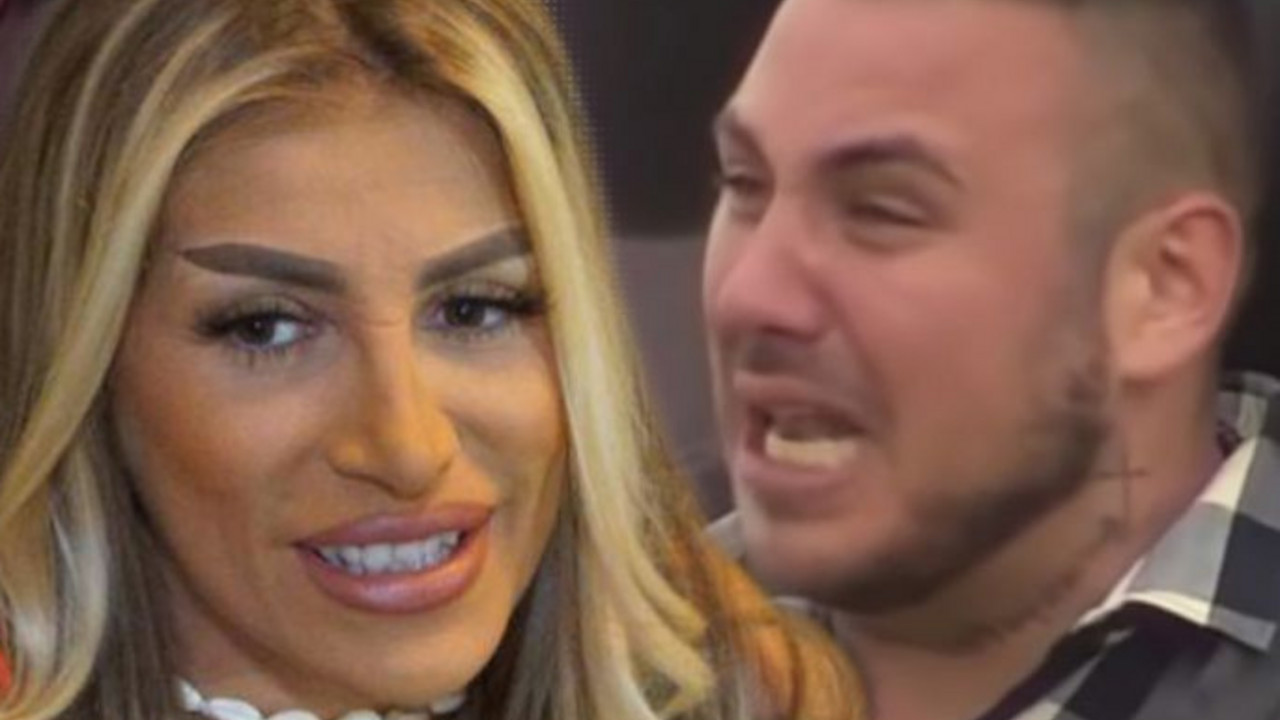 Zadruga 6