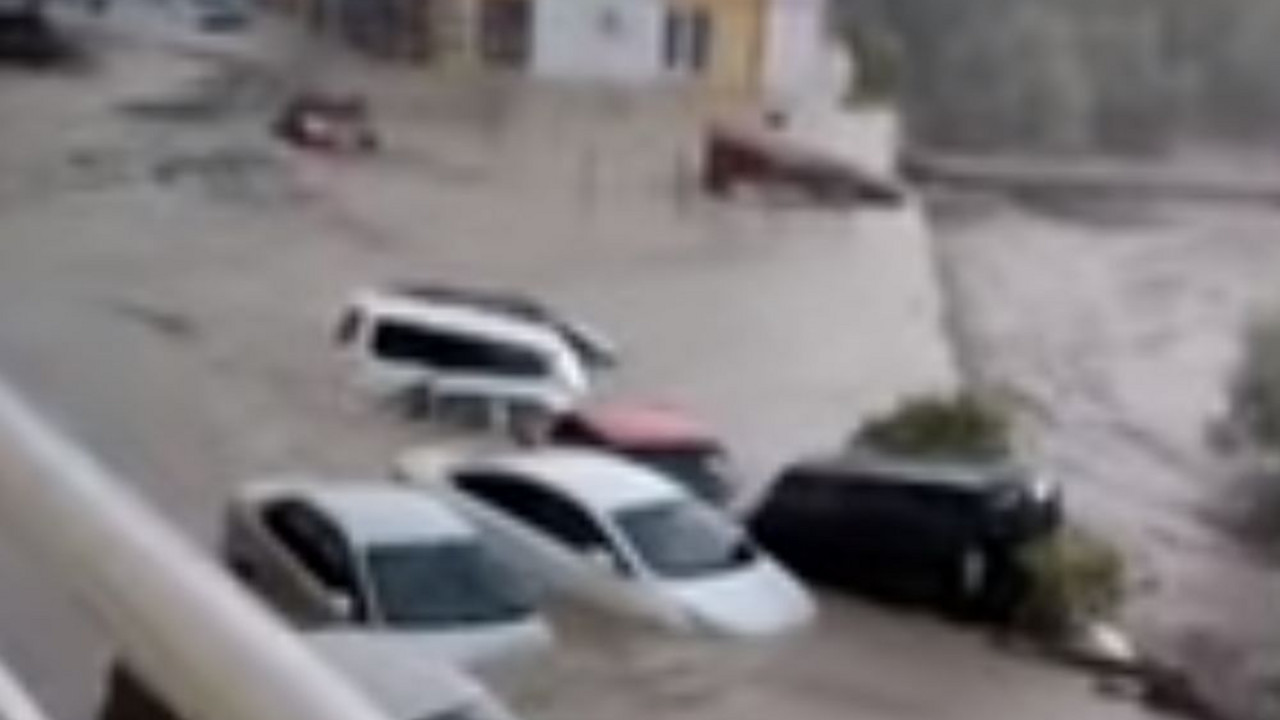 poplave