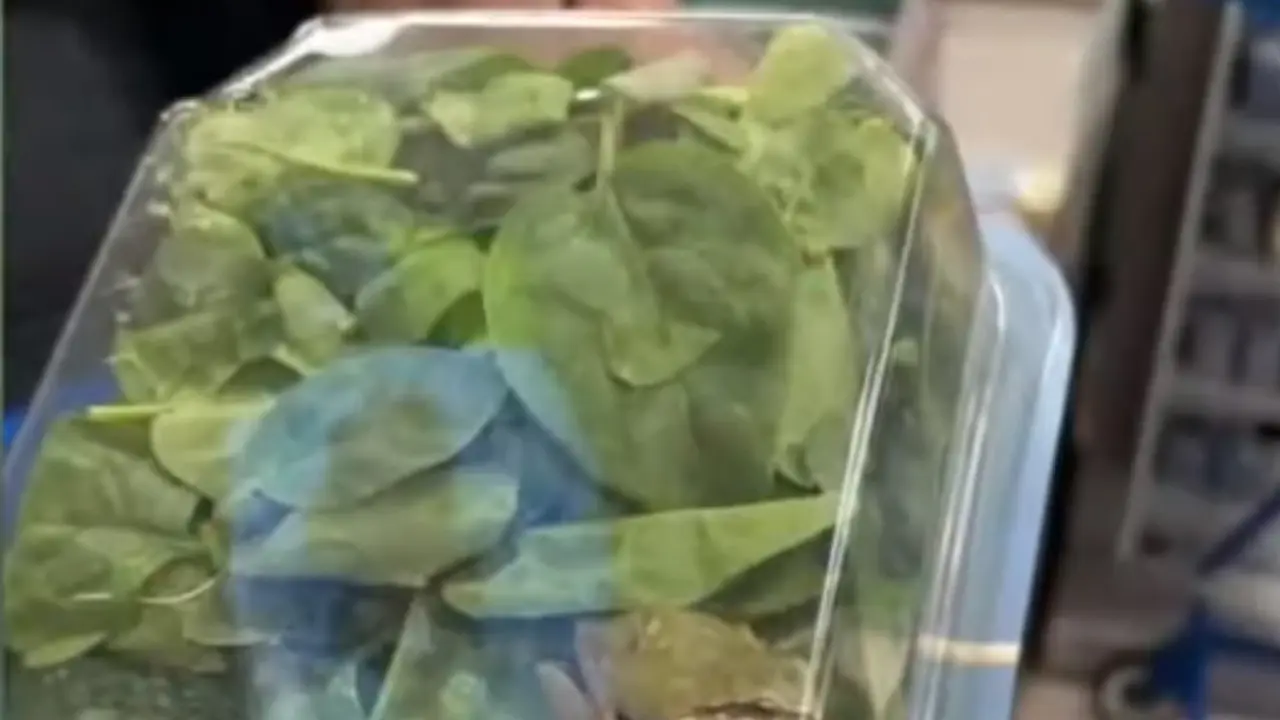 zaba