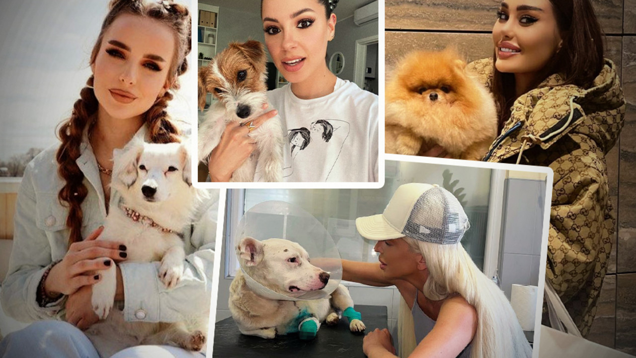 Jelena Karleuša, Ana Korać, lea Stanković, Sara Jo,