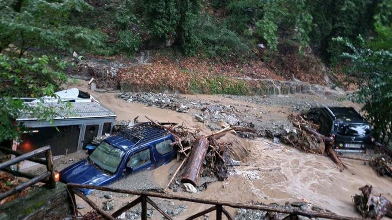 poplave