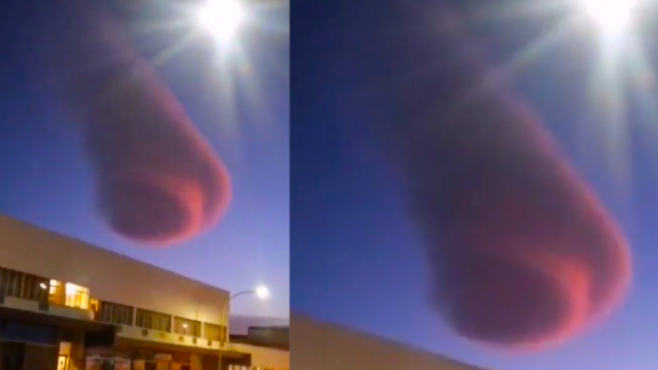 oblak