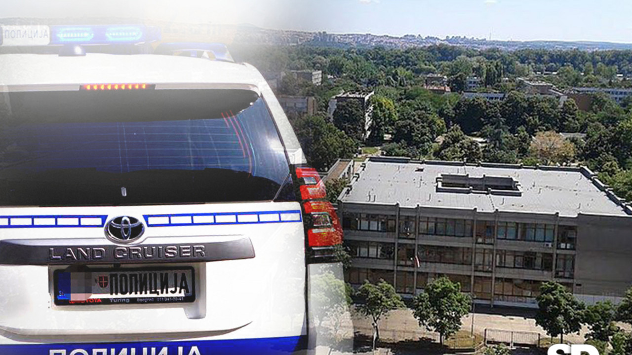 Foto: Srbijadanas,Milana Pavkovic,vikipedija