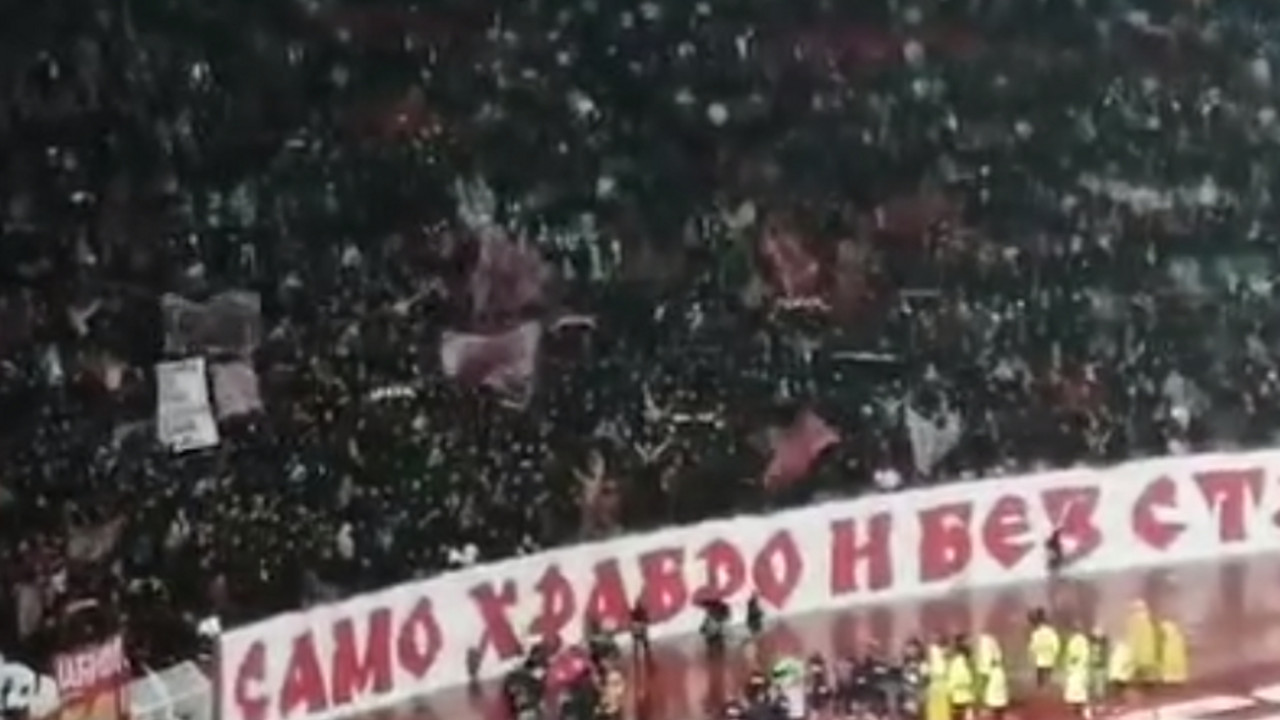 Delije