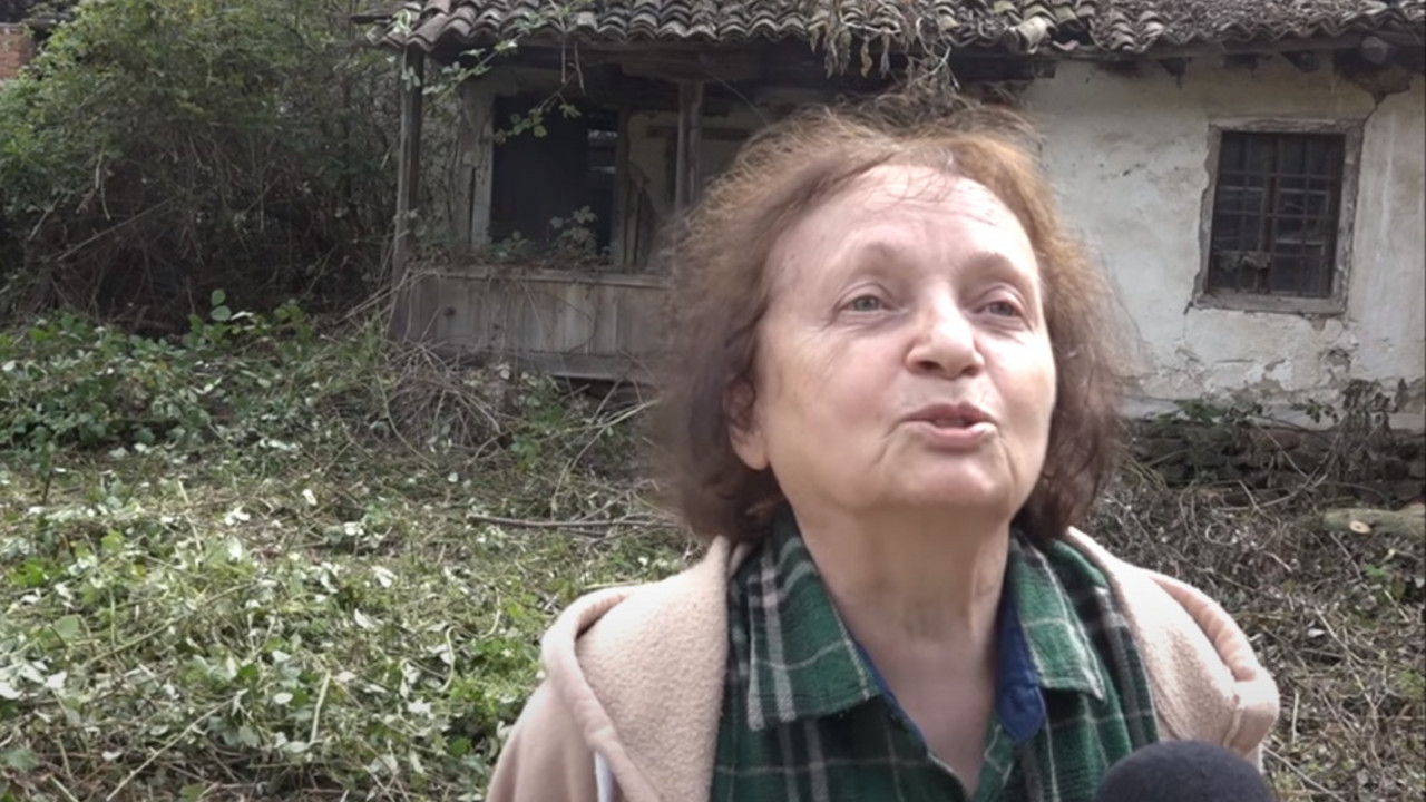 Svetlana Stević