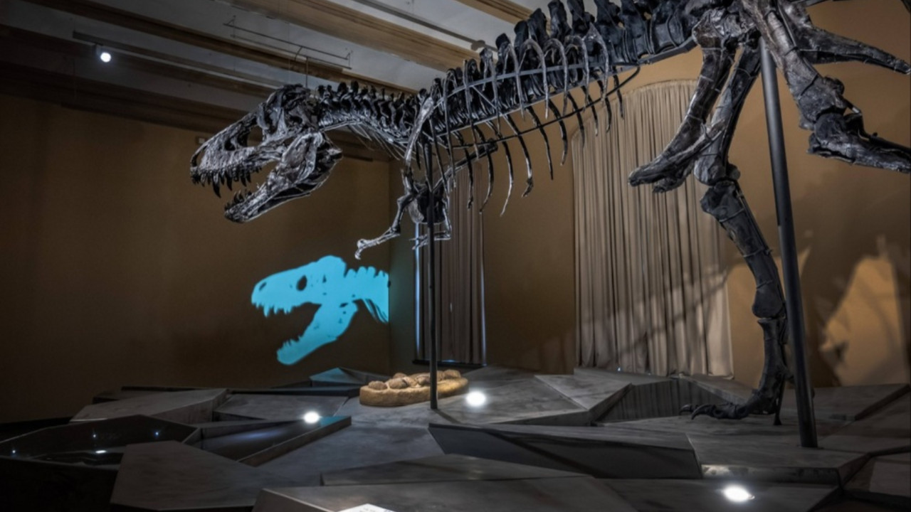 dinosaurus