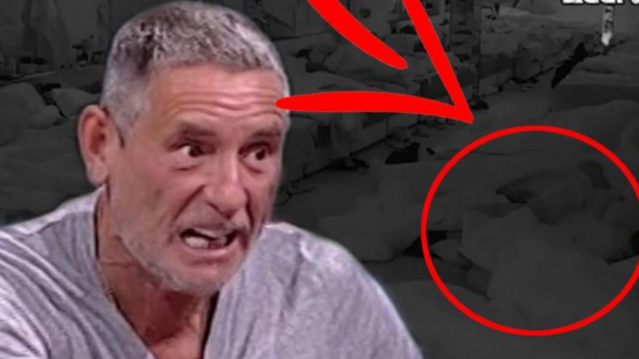 Lepi Mića