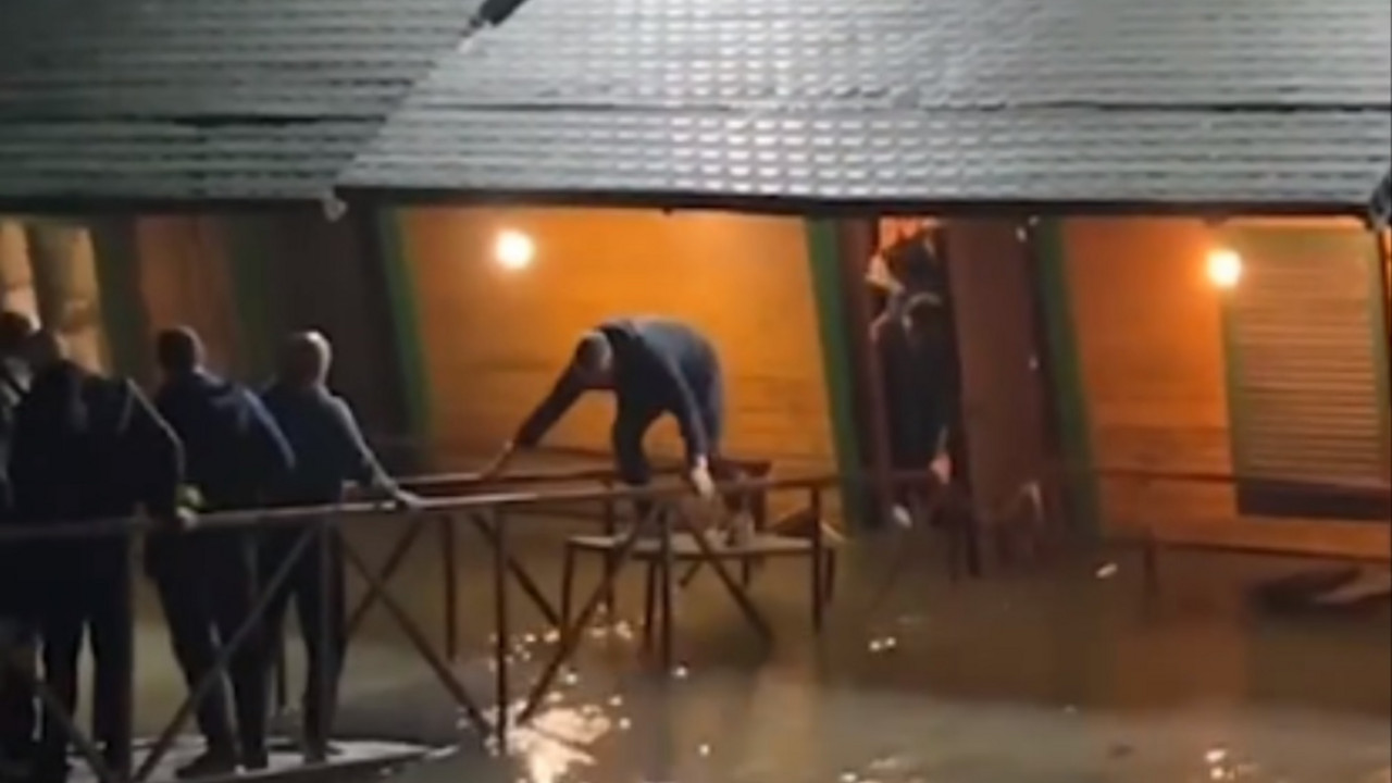 splav