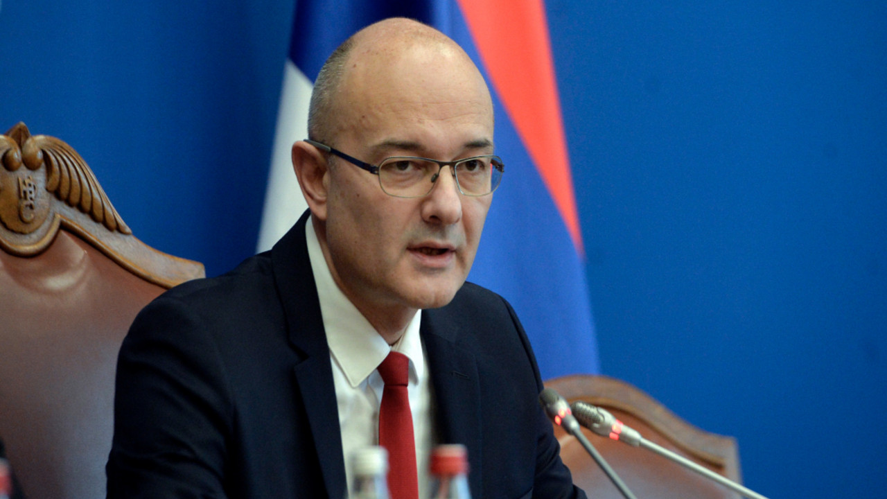Vladimir Dimitrijević, RIK