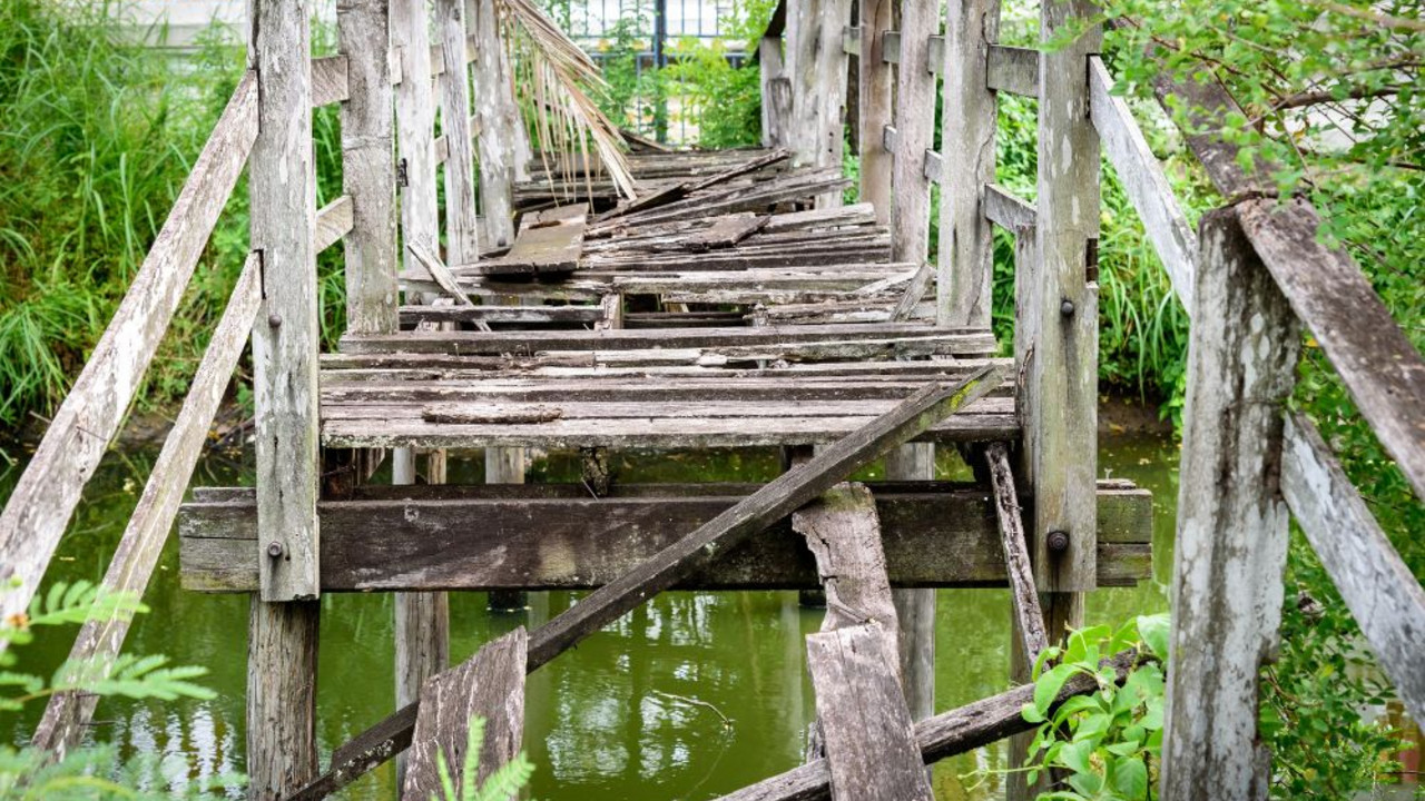 Foto: Shutterstock