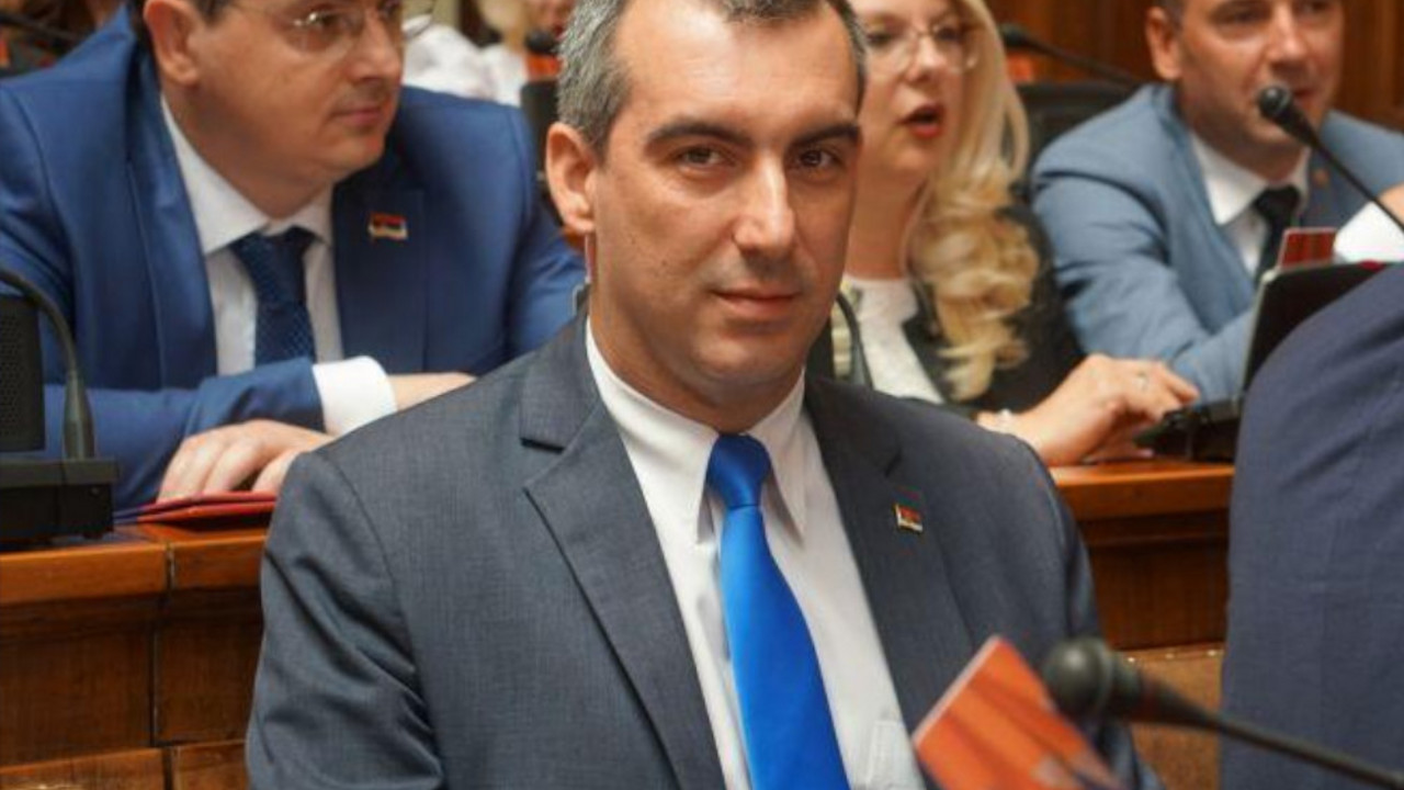 orlić