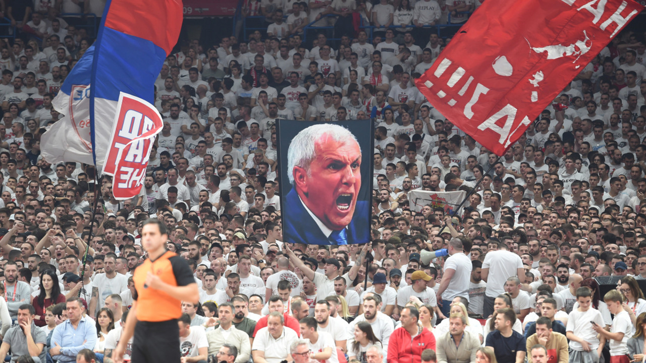 Delije