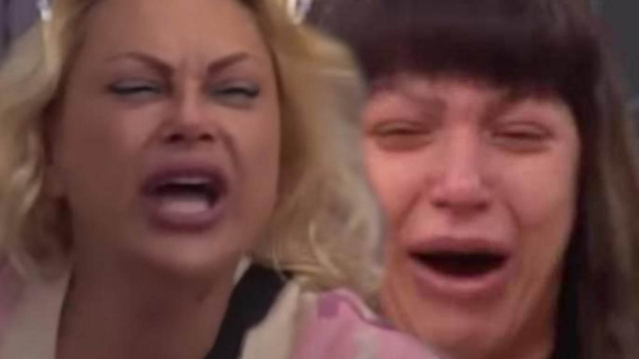 Zadruga 7