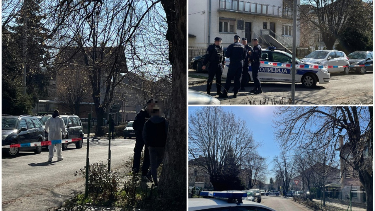 Ubistvo u Zemunu