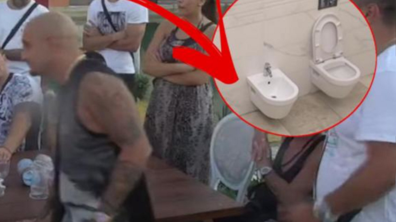 Zadruga