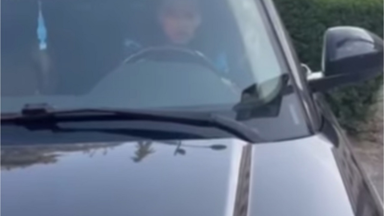 lopov iz Novog Sada