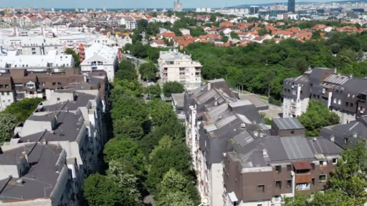 bežanijska kosa