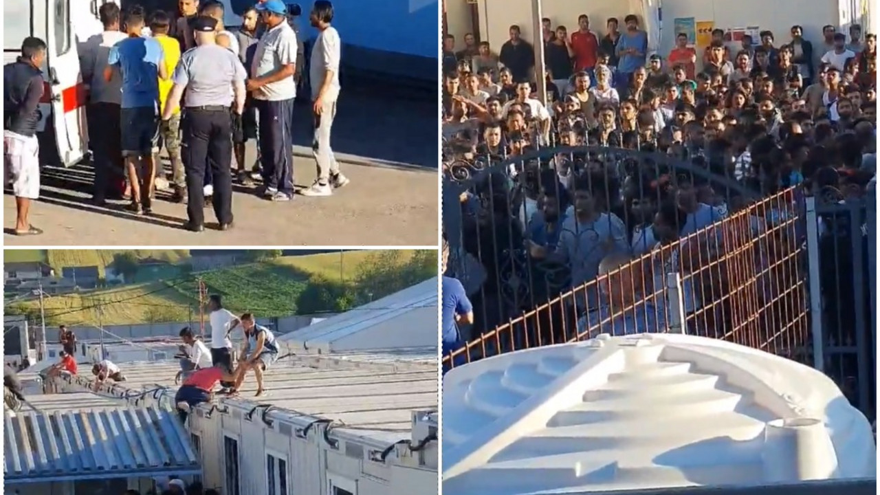 migranti