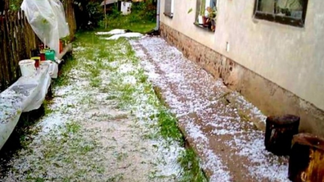 nevreme, Mrčajevci