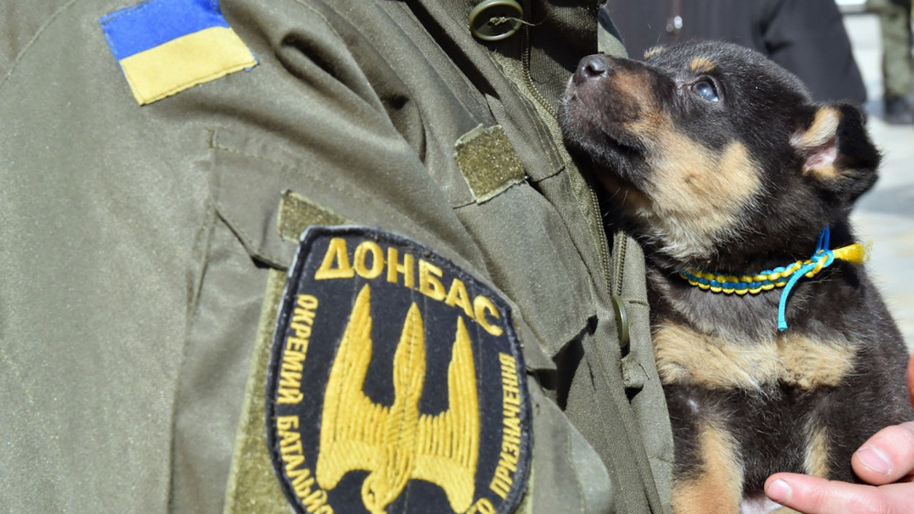 Ukrajinski vojnik, bataljon "Donbas"