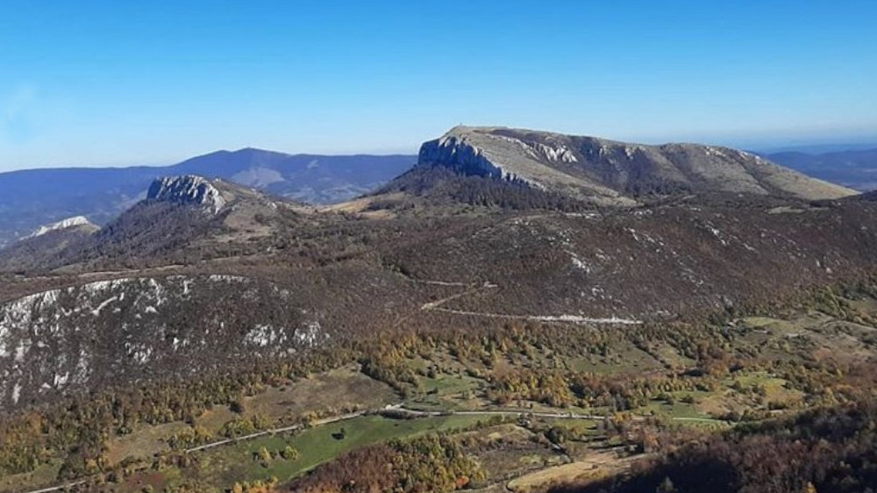 Borski stol