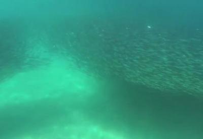 Zabeležena rekordna toplota okeana