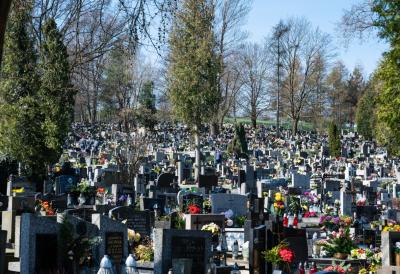 "Legenda kao Sekula" Muškarac iz Srbije oduševio ljude svojim spomenikom: Čak sedam žena stavio na svoju nadgrobnu ploču (FOTO)