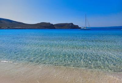 Posle velike bele ajkule u Grčkoj, nova OPASNOST PO ŽIVOT na Jadranu: Ulovljeno opasno stvorenje koje može da usmrti čoveka