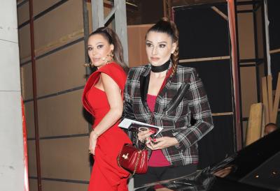 "Rekla joj sve u lice, Ceca pobelela" Pred smrt ispričao jezive detalje o sukobu Mire Škorić i Svetlane Ražnatović