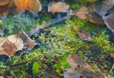 Srbija se budi u magli i minusu: Evo kakvo nas vreme očekuje danas tokom celog dana i kolika će biti najviša temperatura