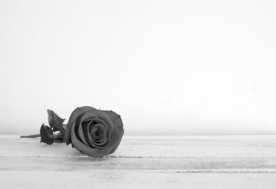 Umro Mićo Ćetković