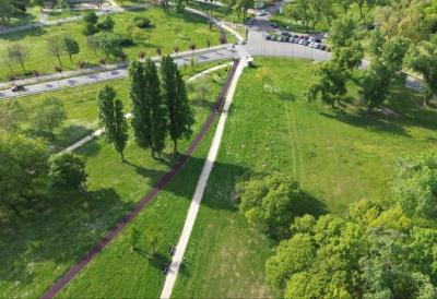 Ministrstvo za finance zanikalo množično sečnjo dreves v parku Ušće zaradi gradnje muzeja