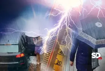 Oluja nosi sve pred sobom: Snažno nevreme čupa drveće u Srbiji, u ovom gradu obrušio se pravi potop (FOTO/VIDEO)