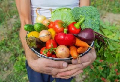 Zbog ogromnog viška na tržištu, proizvođači plaćaju građanima da nose povrće, kako bi ga uklonili sa njiva: Evo o čemu se radi
