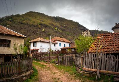 Sve manje ljudi živi od poljoprivrede u Srbiji: Sela ostaju bez stanovnika, a mladi budućnost sve češće traže van porodičnih gazdinstava