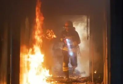 Veliki požar u Limanskom parku: Vatrogasci se borili sa vatrenom stihijom u Novom Sadu (VIDEO)