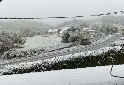 Oglasio se RHMZ: Popaljeni alarmi širom zemlje - Zima opkolila Srbiju, vetar lomi grane, sneg prekrio ulice