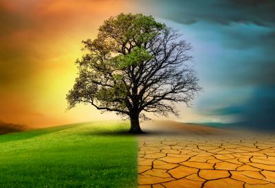 Svet blizu TAČKE BEZ POVRATKA: "Ekonomija i društvo prestaće da funkcionišu onako kako ih poznajemo" Stiglo zastrašujuće upozorenje naučnika