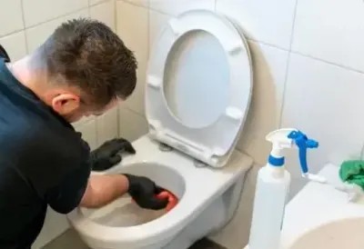 ZA 10 MINUTA I MANJE OD 200 DINARA - Vodoinstalater pokazao TRIK za čišenje wc šolje i vodokotlića BEZ HEMIJE