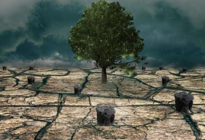 „Moramo priznati da smo do sada podbacili“: Deset godina od potpisivanja Pariškog klimatskog sporazuma