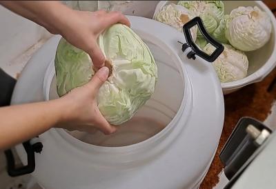 Kako da ukiselim kupus na terasi, a da ne smrdi komšijama? Trik je jednostavan i jeftin - spremite vitaminsku bombu u svom stanu